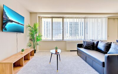 Bright Comfort in DC Apts