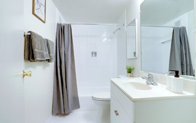 Bright Comfort in DC Apts