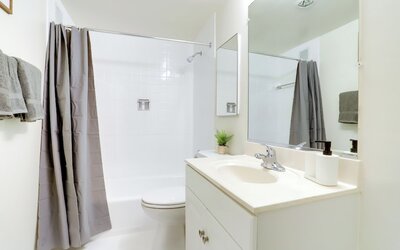 Bright Comfort in DC Apts