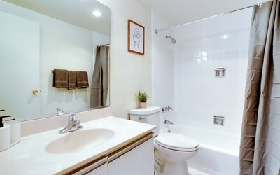 Bright Comfort in DC Apts