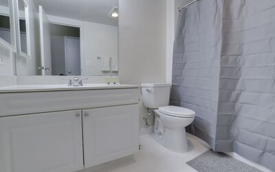 Bright Comfort in DC Apts