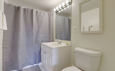 Bright Comfort in DC Apts