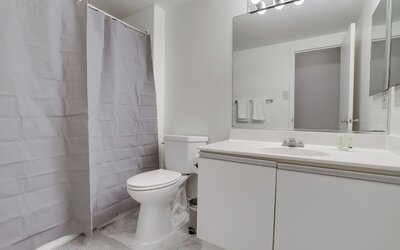 Bright Comfort in DC Apts