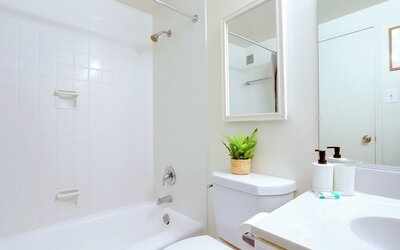 Bright Comfort in DC Apts