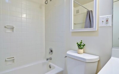 Bright Comfort in DC Apts