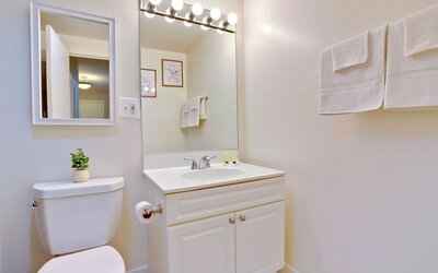 Bright Comfort in DC Apts