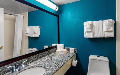 Clarion Inn Falls Church - Arlington