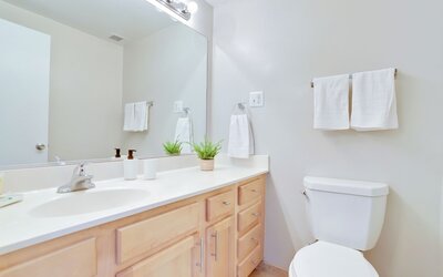 Comfort Living Alexandria Apts