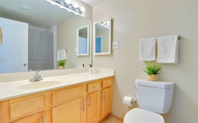 Comfort Living Alexandria Apts