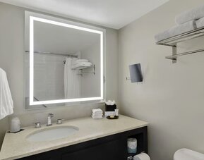 Private guest bathroom with shower and free toiletries at Hotel Tampa Riverwalk