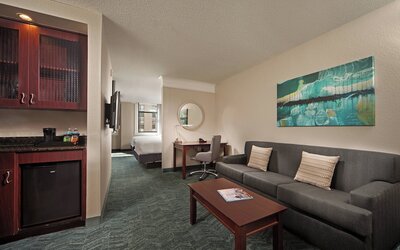 Springhill Suites Marriott Baltimore Downtown/Inner Harbor