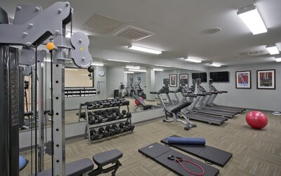 Studio Suite, 1 King Bed, Kitchen