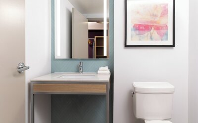 Hilton Garden Inn Hanover Arundel Mills,  MD
