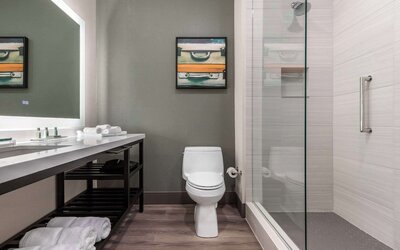 Cambria Hotel Arundel Mills - BWI Airport