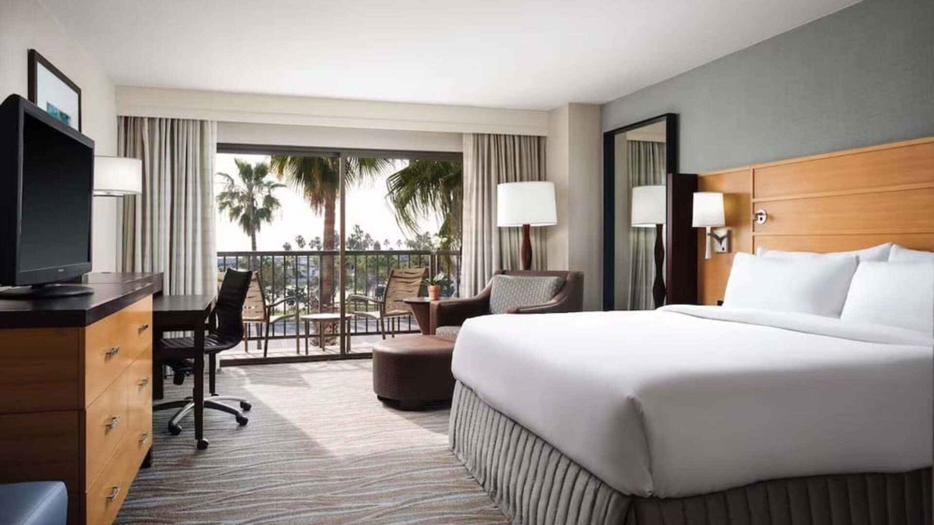 Delux king room with natural light at Sonesta Redondo Beach & Marina.