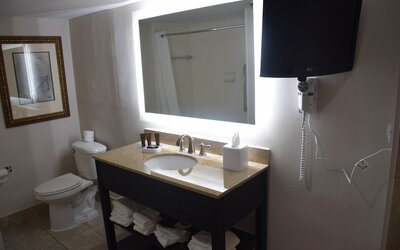 Wingate by Wyndham Baltimore BWI Airport