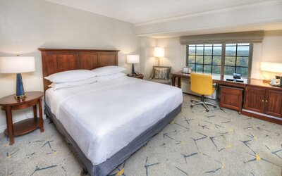 Sheraton Baltimore Washington Airport Hotel - BWI