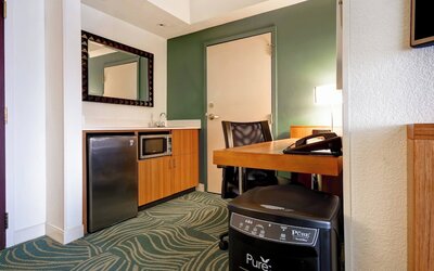 SpringHill Suites by Marriott Baltimore BWI Airport