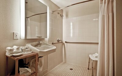 SpringHill Suites by Marriott Baltimore BWI Airport