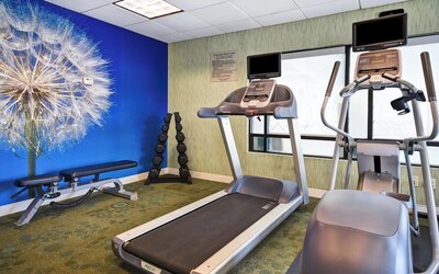 SpringHill Suites by Marriott Baltimore BWI Airport