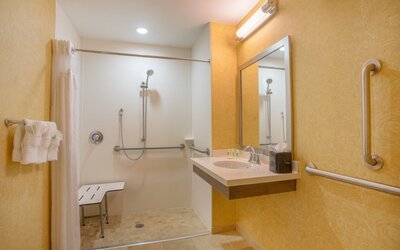 Holiday Inn Baltimore BWI Airport by IHG