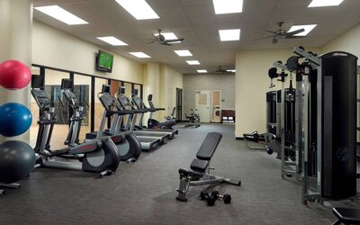 The hotel fitness center has an assortment of exercise machines, plus free weights and benches, and a wall-mounted TV.
