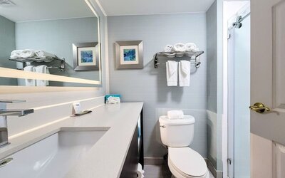 Private guest bathroom with shower at Holiday Inn Belcamp - Aberdeen Area.