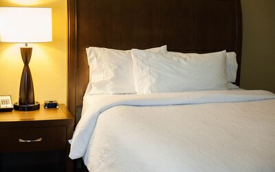 Hilton Garden Inn Buffalo Downtown