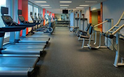 The hotel fitness center is equipped with an extensive array of exercise machines, free weights, and a widescreen television.