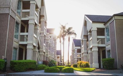 The hotel exterior features soaring palm trees and well-kept hedges and bushes close to the day rooms.