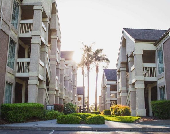 The hotel exterior features soaring palm trees and well-kept hedges and bushes close to the day rooms.