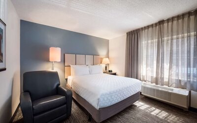 Day use room with natural light at Sonesta Simply Suites Detroit Warren.