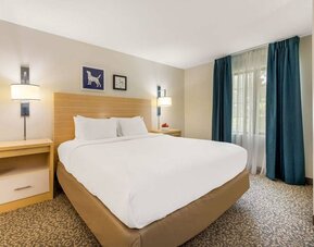 Sonesta ES Suites Charlotte Arrowood double bed guest room, featuring art on the wall and a large window.