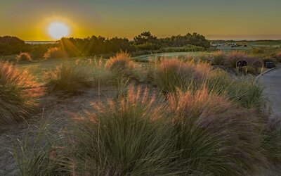 Wild Dunes Resort – Sweetgrass Inn and Boardwalk Inn