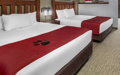 Great Wolf Lodge Concord