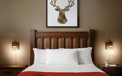 Great Wolf Lodge Concord