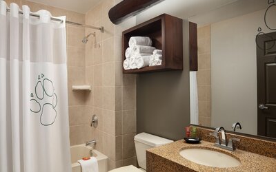 Great Wolf Lodge Concord