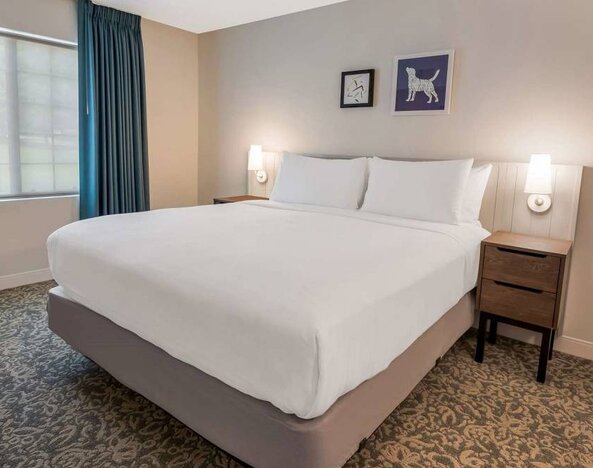 Double bed guest room in Sonesta ES Suites Andover Boston, with art on the wall, bedside lamps, and a window.