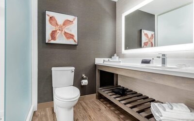 Cambria Hotel Fort Mill