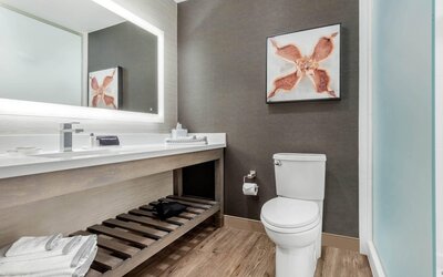 Cambria Hotel Fort Mill