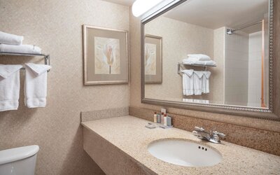 Wingate by Wyndham Charlotte Airport I-85/I-485