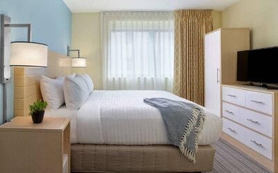 Double bed guest room in Sonesta ES Suites New Orleans, featuring bedside cabinet, widescreen TV, and large window.