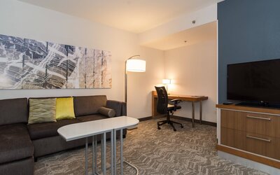 SpringHill Suites by Marriott Charlotte Ballantyne