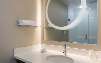 SpringHill Suites by Marriott Charlotte Ballantyne