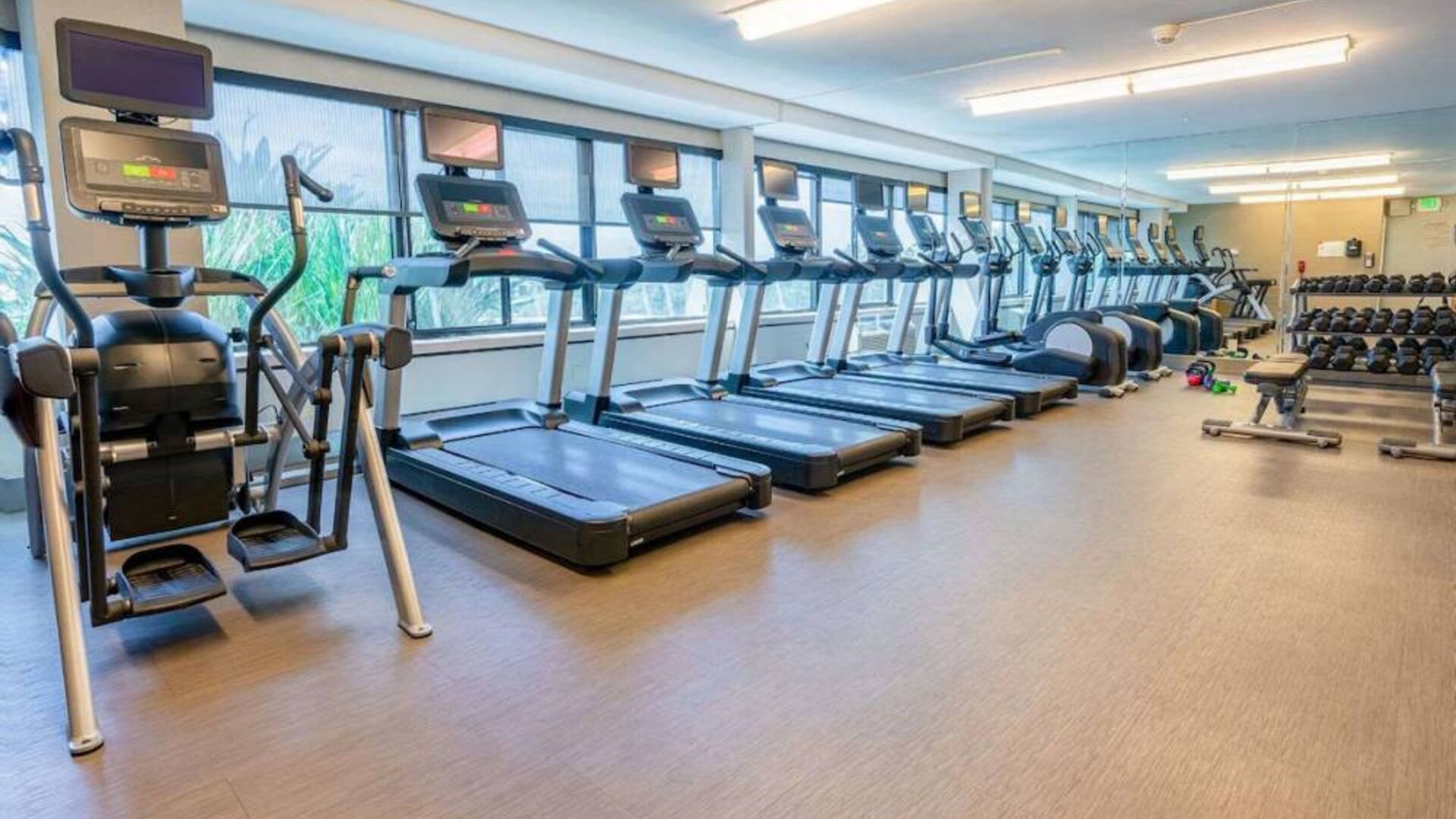 The fitness center in Sonesta San Jose is fully equipped with racks of free weights, benches, and assorted exercise machines including treadmills and ellipticals.