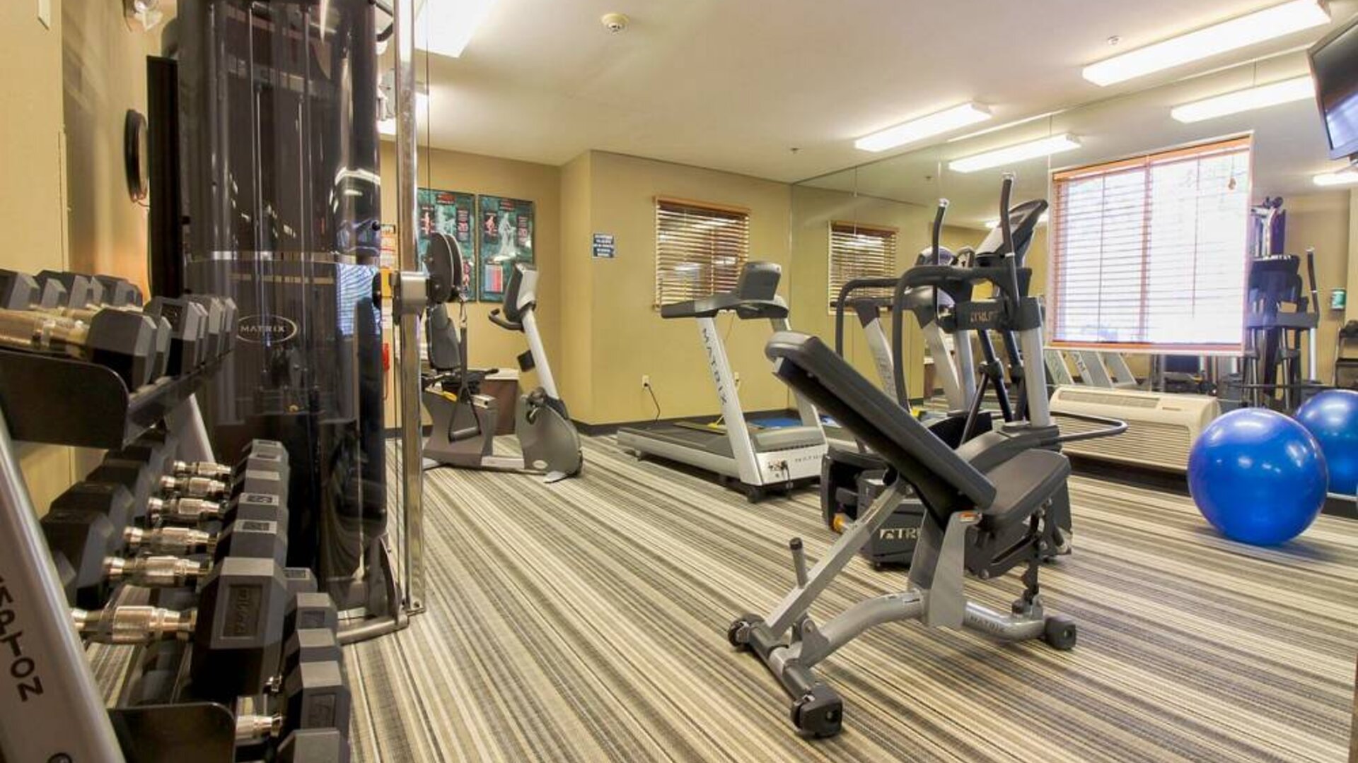 Sonesta Simply Suites St Louis Earth City’s fitness center has rows of free weights, gym balls, a TV, and assorted types of exercise machinery.