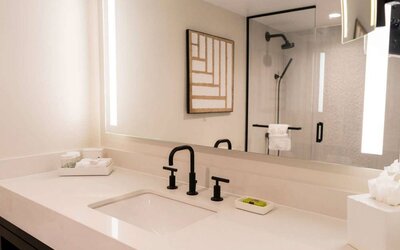 Royal Sonesta San Juan guest bathroom, including shower, sink, and mirror, plus art on the wall.