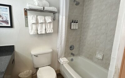 Wyndham Garden Norfolk Downtown