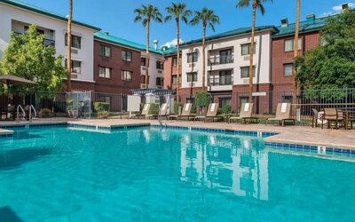 The hotel’s outdoor pool has loungers, as well as a table and chairs, by the side, plus towering trees beyond the fence.