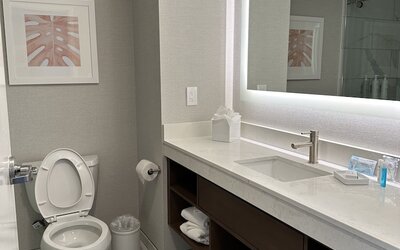 Hampton Inn Virginia Beach-Oceanfront South